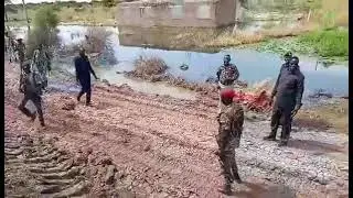Штат единства сегодня