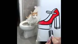 Daily routine of a potty trained cat 😸 #saratogasprings #fyp
