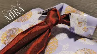pacchetto camicia cravatta