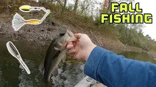 Fall Fishing with Micro Spinnerbait and Tiny Shad Lure