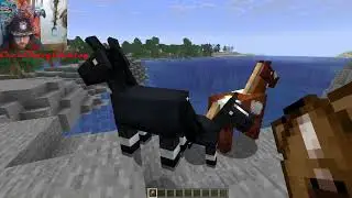 Minecraft Snapshot Review 26.1 Snapshot 4 - New Baby Horse Remodels and Tripwire Texture Changes