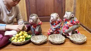 Judee, Jaila & Flloyd Eaqerly Wanna Try Auntie HENG Sour Fruit