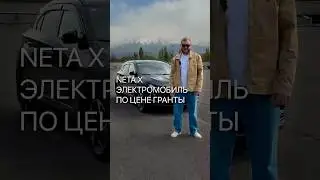 Neta X - бюджетный электромобиль, который не ломается