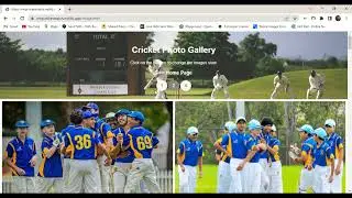 Website Projects - Cricket match website | Amazing Cricket-Match-Website | FullStack development