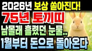 1975년생 을묘년생 토끼띠 51세 운세 1월 보세요, 병오년 들어 천운 받아 금전운 최강이고 큰손 되며 하늘이 밀어주는 재물 대박 터지는 때