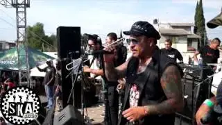 Royal Club - Ste ska (Vivo)