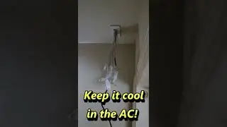 Best way to install an IP security camera system with POE!  #short #shorts #shortvideo #ipcamera