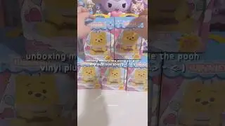 unboxing new winnie the pooh vinyl plush blind boxes from #miniso💕 #MinisoVinylPlush#minisoblindbox