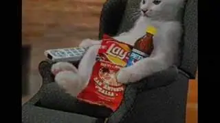 LOLCats MIX 1