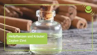 Ceylon-Zimt &ndash; Alles, was du &uuml;ber seine Wirkung wissen solltest.