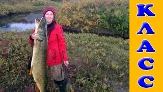 Рыбалка на севере Стофети и компания НАЧАЛО 2  Fishing in the north of Russia