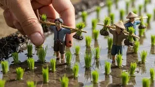 Tiny Buffalo & Clay Farmers Working in Mini Muddy Rice Fields &mdash; Satisfying POV