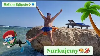 ☀️Hotel ALBATROS PALACE PORT GHALIB 🕌 w Marsa Alam w Egipcie☀️ Piękna RAFA KOLAROWA🐡🐠 NURKUJEMY!!!