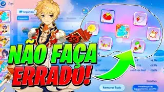 QUAL EQUIPAMENTO USAR EM CADA PET DO RAGNAROK ORIGIN LNA