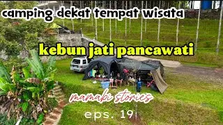 Kebun jati pancawati | camping dekat tempat wisata | campercan bogor