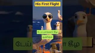 HIS FIRST FLIGHT - Liam O&rsquo;Flaherty || TAMIL ANIMATION || FULL STORY || State Board ,CBSE and TNPSC