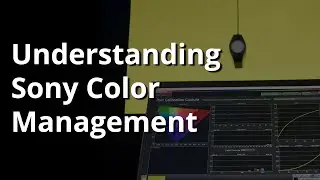 Tutorial: Get the Most Out of Your Sony TV with Calman Calibration Software
