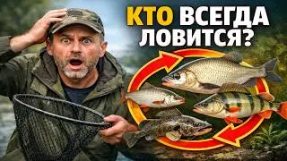 НИКОГДА НЕ УЙДЁШЬ ПУСТЫМ! 7 рыб, которые клюют ВСЕГДА и у ВСЕХ