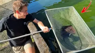 I FOUND A SECRET FISH FARM  !
