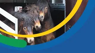 Jak žije Plzeňsk&yacute; kraj &ndash; 49. &ndash; 16.12.2021