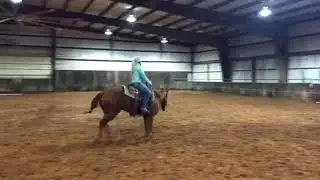 5 yo Lil Ruf Catalyst mare