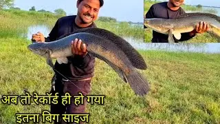 टायगर मरेल का इतना भयानक अटॅक 🐸 snake hand big fight fishing rod loss😱😱🐋