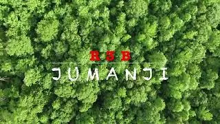 Jumanji - R3B Visualiser