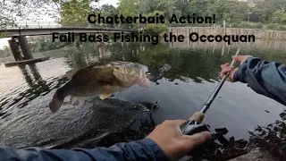 Chatterbait Action!Fall Bass Fishing the Occoquan 