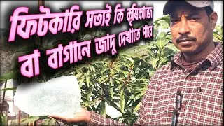 কৃষিকাজে ফিটকিরি ব্যবহার করা কি উপকারী?