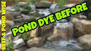 POND DYE BEFORE.