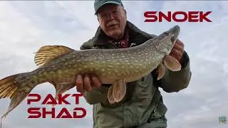 December PIKE on shads | 2025 subtitled - untertitelt - sous-titr&eacute;