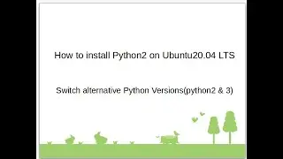 How to insall Python2 on Ubuntu20.04 and switch python 2 and python3. #python #python3