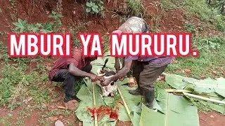 MBURI YA MIRURU NI NDUU?? NA INA BATA URIKU KURI MUIRITU URIA UCIARIIRE KWAO?