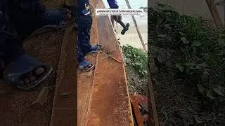 Traditional Wood Debarking with a Hammer | Manual Timber Processing