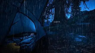 Rain Camping in Forest | Deep Sleep, Relaxing Rain Sounds, No Talking