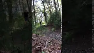 Massasoit State park