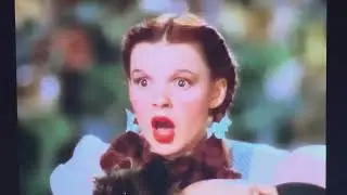 The Wizard of Oz: Dorothy meets the witches - (reversed)