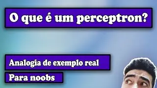 🤖O que é um perceptron? Analogia com exemplo real - Para Noobs 🤖