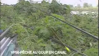 L'univers de la pêche au coup en canal
