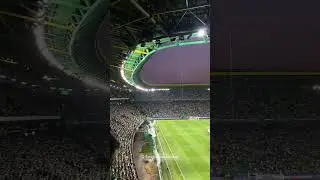 est&aacute;dio jos&eacute; alvalade  🏟️💚 Sporting Stadium   champions League