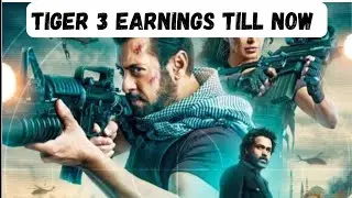 Tiger 3 budget & earnings | salman khan