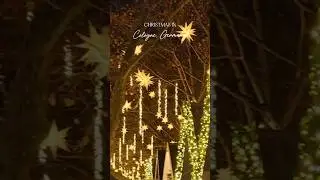Cologne Christmas Markets 2024 ☃️❄️✨️ | #Cologne #Germany
