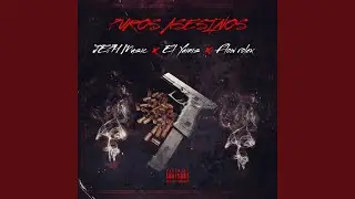 Puros Asesinos (feat. El Yainis, Flow Rolex & Jeph Music)