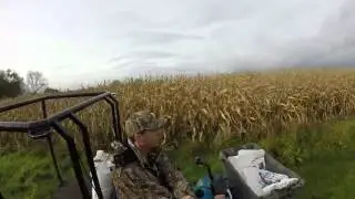 Pheasant feeders and duck ponds