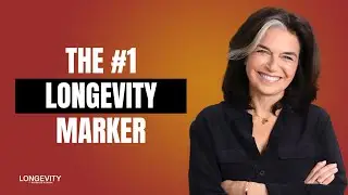 The #1 Longevity Marker | REHIT, CAROL Bike & Zone 2 Training Myths with Ulrich Dempfle | Ep #335