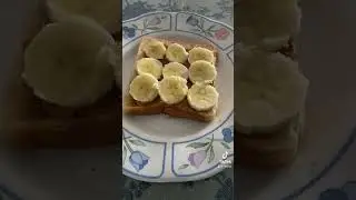 easy healthy breakfast with kittens #cat  #kitten #healthy #diet #healthyrecipe