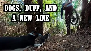 Epic Redwood MTB with Trail Dogs River and Ryder | Loamy New Line Shred with Hayden