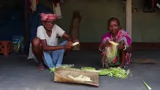 BABY CORN CHILLI CURRY | farm fresh corn picking & cooking by our grandmother & grandfather |
