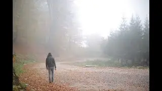 Suphi - Sonbahar