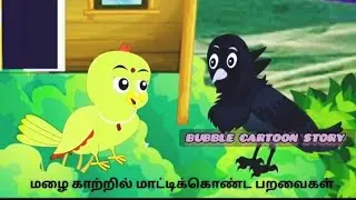 மழை காற்றில் மாட்டிக்கொண்ட பறவைகள்/Tamil Fairytale story/Tamil Moral story/Animation Birds story 